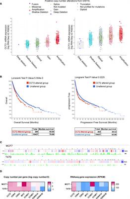 Chaperonin-Containing TCP1 Complex (CCT) Promotes Breast Cancer Growth Through Correlations With Key Cell Cycle Regulators